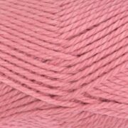 Peony 6596