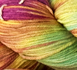Rainbow 037