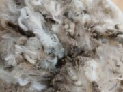 Messenger_creation_455C0AA4-6B00-4C6A-BCF9-AD2325236752~2