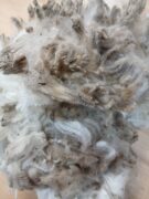 Messenger_creation_455C0AA4-6B00-4C6A-BCF9-AD2325236752~2