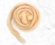 CWS12b_f2537c2e-98d4-4f5d-bdf5-cd4e83c0c2ca