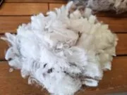 Messenger_creation_455C0AA4-6B00-4C6A-BCF9-AD2325236752~2