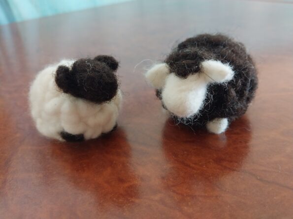 Image #1 from Petrea M.