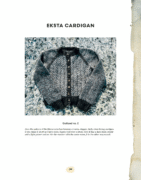 Stickat från kust till kust