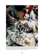 Stickat från kust till kust