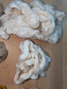 PXL_20260106_054236720