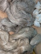 PXL_20260106_054236720