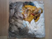 PXL_20260106_054236720