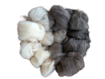 Icelandic Wool Roving Mixed Pack 145g