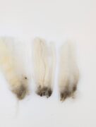 Polwarth Raw Wool Fleece