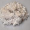 Polwarth Wool Raw Fleece 300g