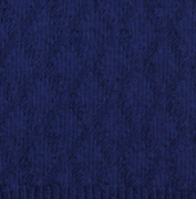 Junior Navy