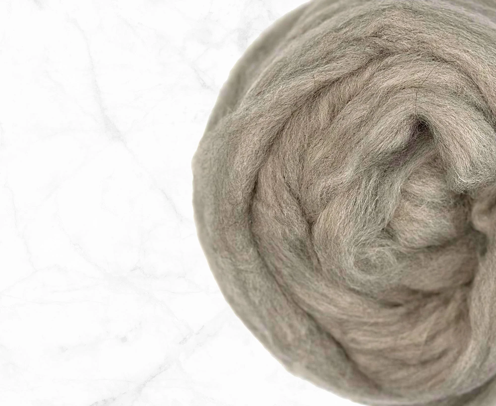 GreyPolwartha_5e0f4726-e302-4862-8a7b-b26702aacf49