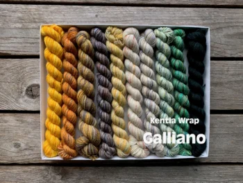 Koigu Pencil Box KPPPM - Galliano