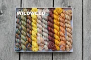 Koigu Pencil Box KPPPM - Wildweed