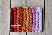 Koigu Pencil Box KPPPM - Venation