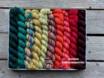 Koigu Pencil Box Jasmine DK - Bala Cranberries