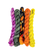Hand Dyed Merino Wool 8 Ply Mini Skein Pack - Electric Garden